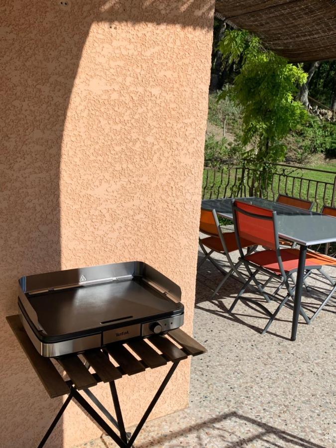 Les Oliviers Villa Vaugines Luaran gambar