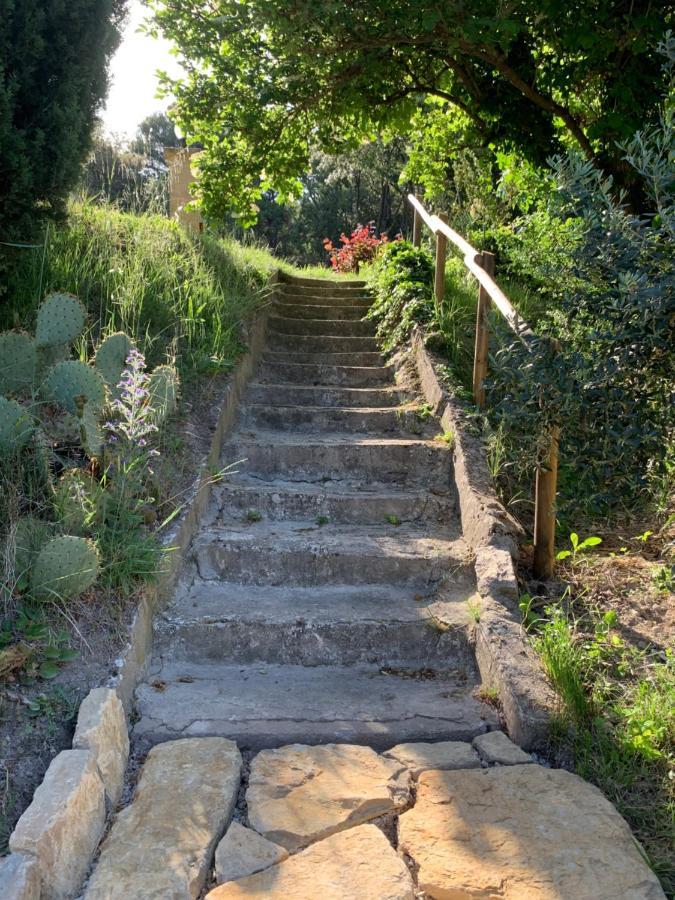 Les Oliviers Villa Vaugines Luaran gambar
