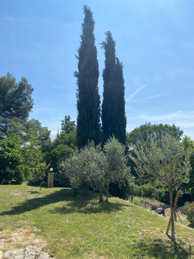 Les Oliviers Villa Vaugines Luaran gambar